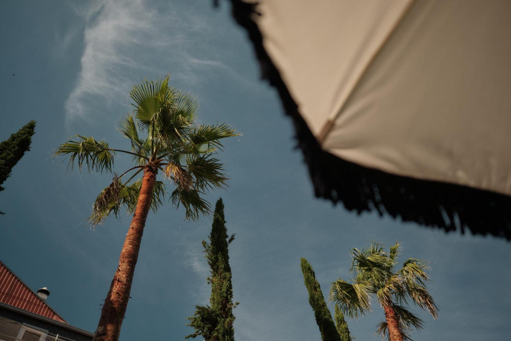Ga Palace Hotel & Spa, A Xixth-Century Villa Porto Exteriér fotografie Palm trees in the city